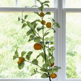 Tangerine Branch