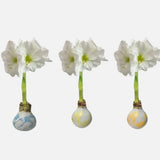Pastel Splatter Wax Amaryllis