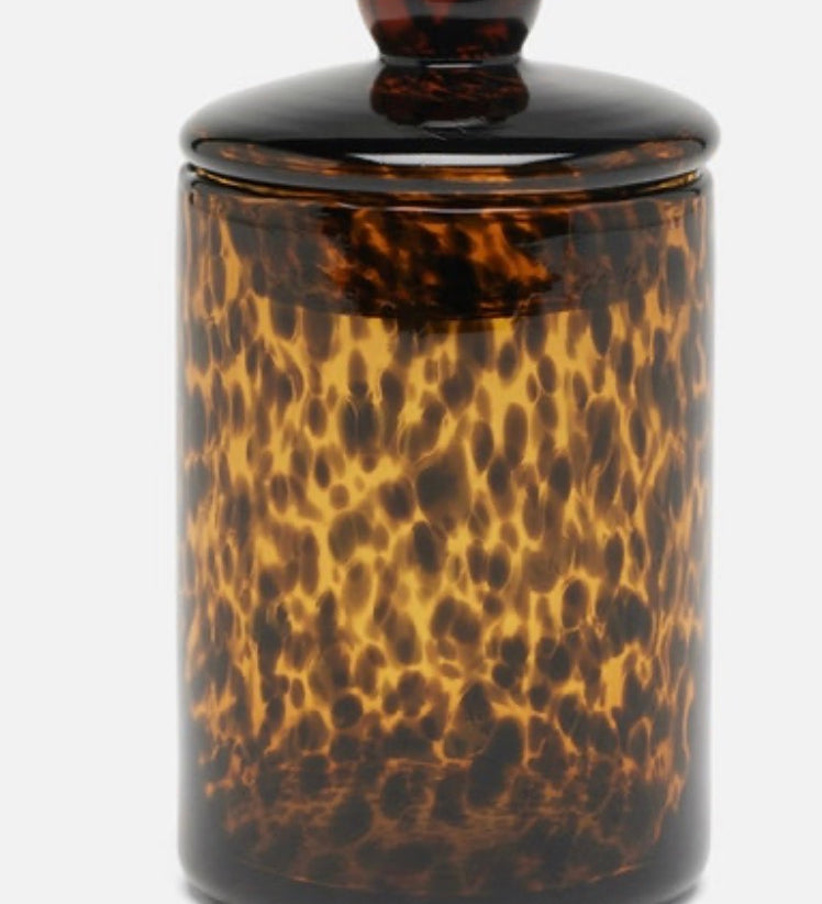 Darby Tortoise Canister