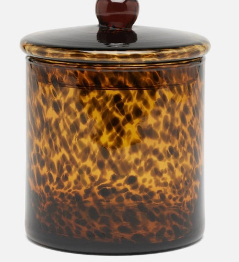 Darby Tortoise Canister