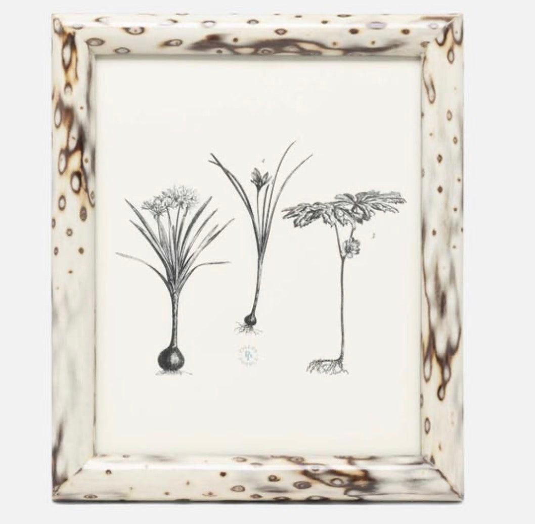 Bisbee Frame