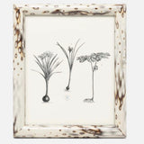Bisbee Frame