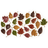 Autumn Allure Enameled Leaf Tray Unit Includes 5 Shapes Each in 5 Colors
