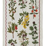 Organic Cotton Tea Towel - Festival of Fruits