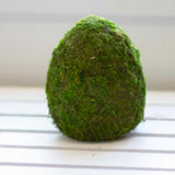 Moss Egg 6.5