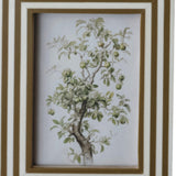 Photo Frame w Inlaid Stripes