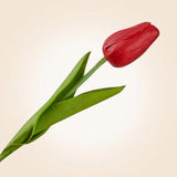 10.5 Inch Red Real Touch Mini Tulip Stem