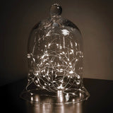 Bell Shaped Cloche