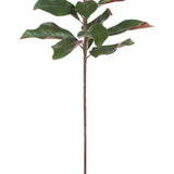 Faux Magnolia branch