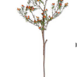 Berry Branch