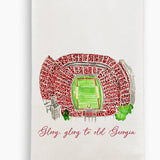 Athens Georgia Stadium w Quote