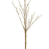 Willow Stems- Set of 2
