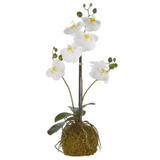 Real Touch White Orchid Moss Ball