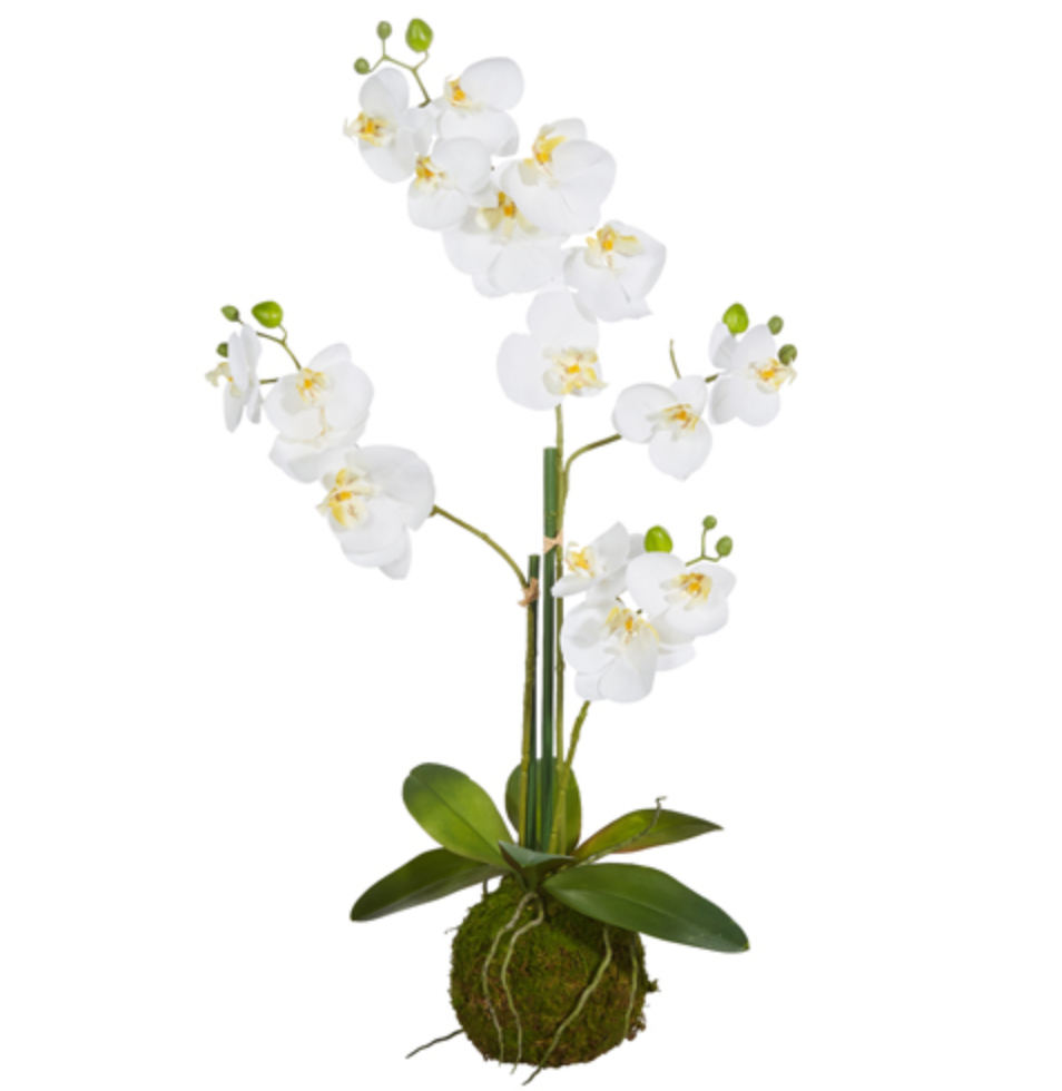 Real Touch White Orchid Moss Ball