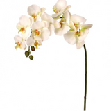 Fancy Phaleanopsis Stem 34"