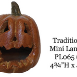 Small Mini Pumpkins