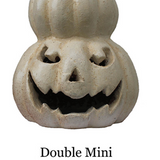 Small Colorful Mini Pumpkins