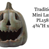 Small Colorful Mini Pumpkins