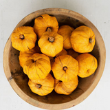 Dried Miniature Faux Pumpkins