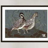 Bobwhite Pair With Espresso Frame 14" x 12"