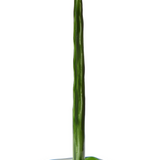 Floral Taper Holder - Small