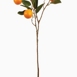 Orange Branch 28.5