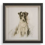 Framed Dog Prints 14"x14"