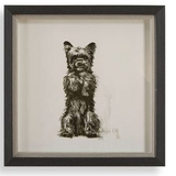 Framed Dog Prints 14"x14"