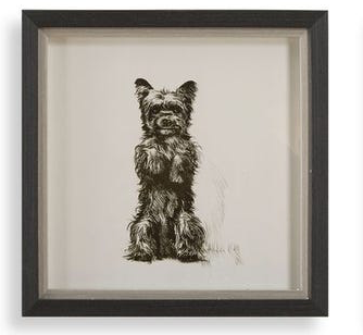 Framed Dog Prints 14"x14"