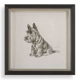 Framed Dog Prints 14"x14"