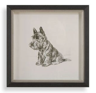 Framed Dog Prints 14"x14"
