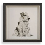 Framed Dog Prints 14"x14"
