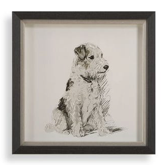 Framed Dog Prints 14"x14"