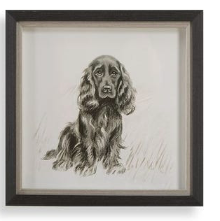 Framed Dog Prints 14"x14"