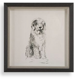 Framed Dog Prints 14"x14"