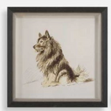 Framed Dog Prints 14"x14"