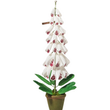 Paper Flowers - Fox Glove