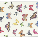 Multi Butterfly Matchbox