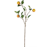 Apple Stem With Leaves 35"