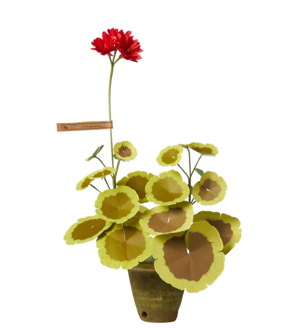 Paper Flowers - Mini Geranium Plant Salmon