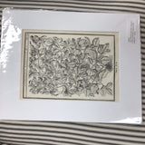Early Woodcut Flower Prints