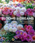 Blooms And Dreams