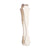 Sabre Old Fashioned Medium Tong