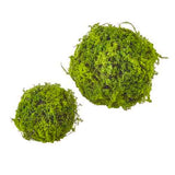 Moss Ball Set