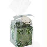 Roland pine large soap & candle gift