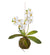 Real Touch White Orchid With Moss Ball
