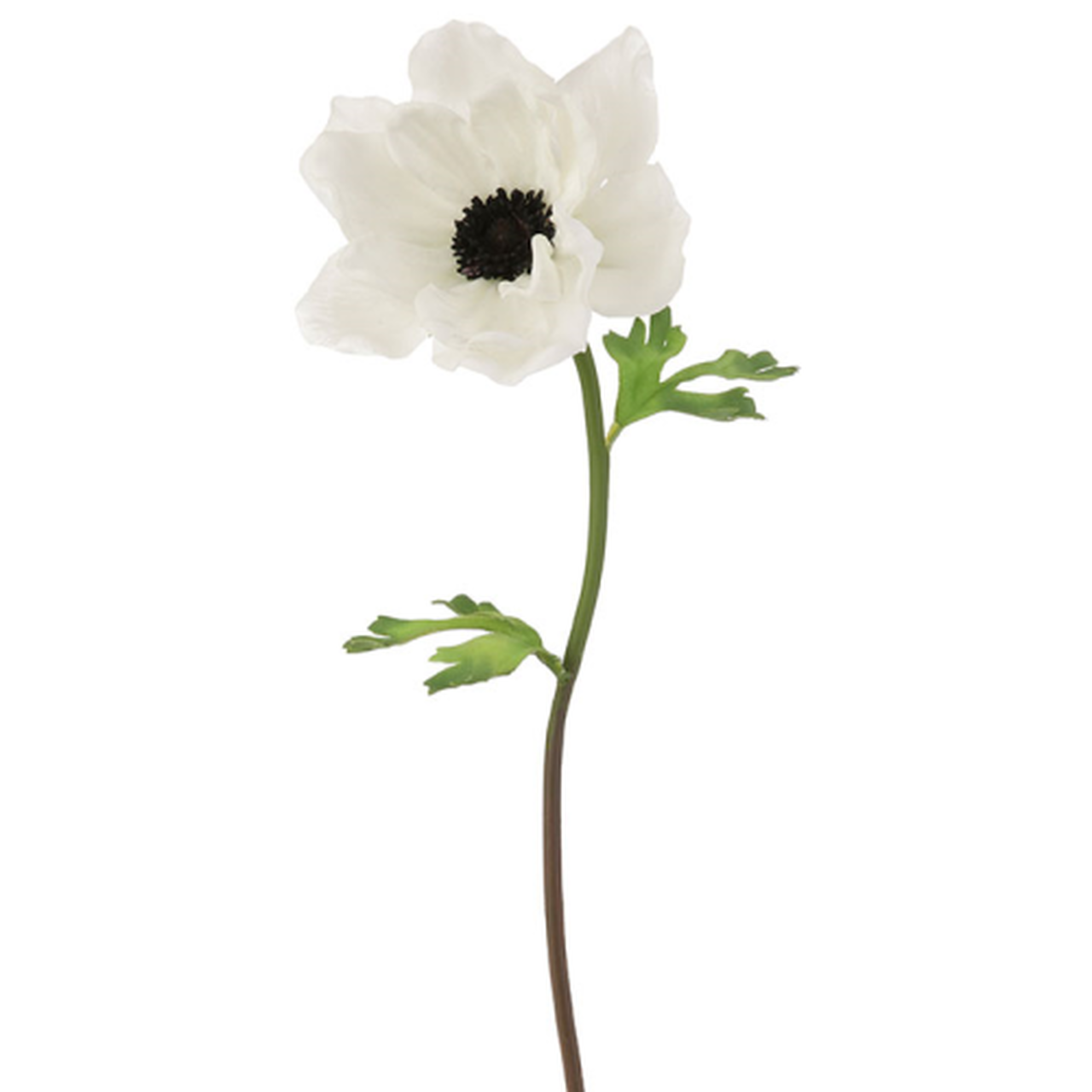 Real Touch Anemone Stem