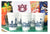 Foam Cup 10 Pack Auburn University Skyline