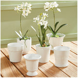 Mirabelle Mini Cachepot