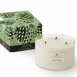 Roland Pine Three- Wick Soy Candle